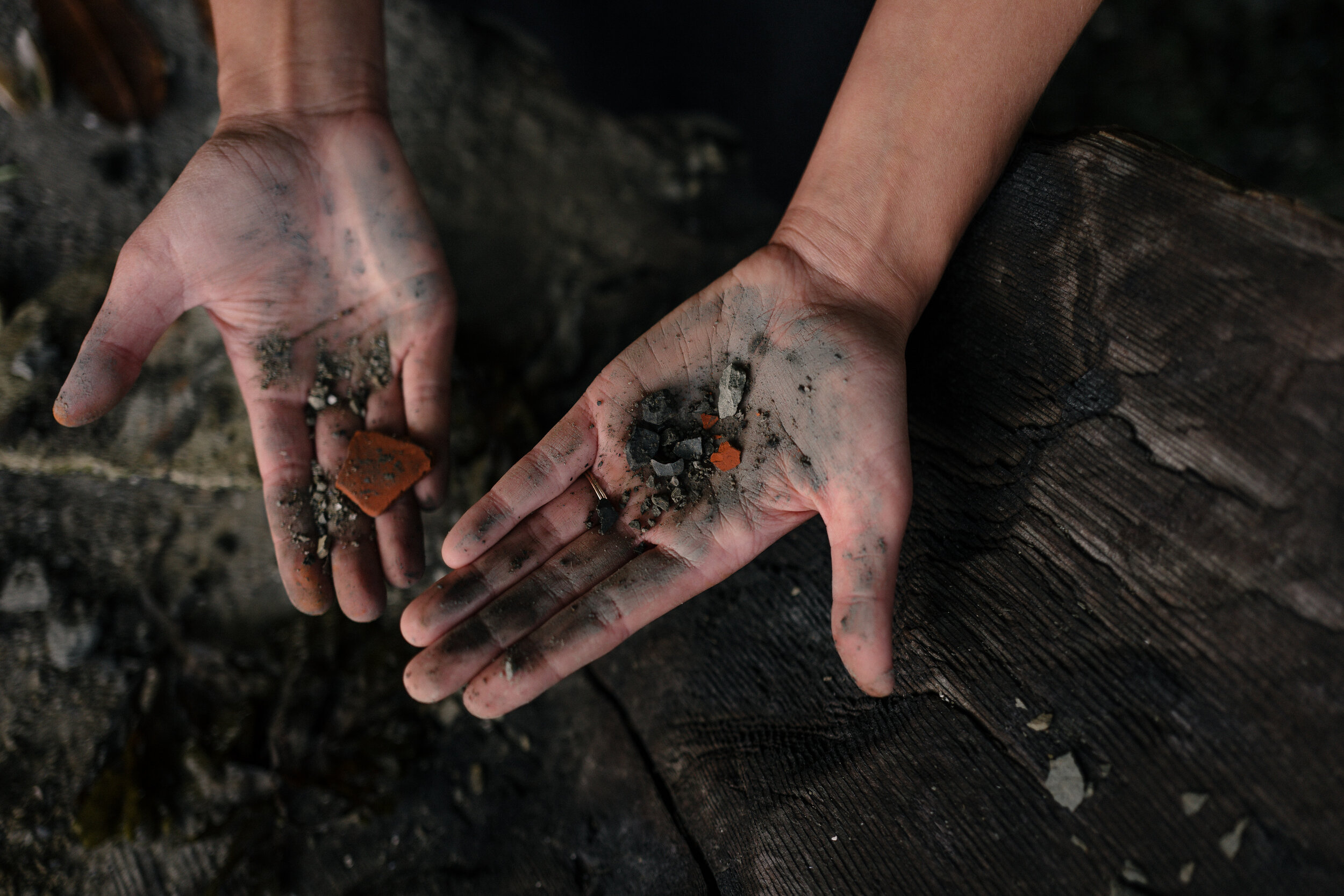 MikeSeehagel_GinniBeachForage_L1110674